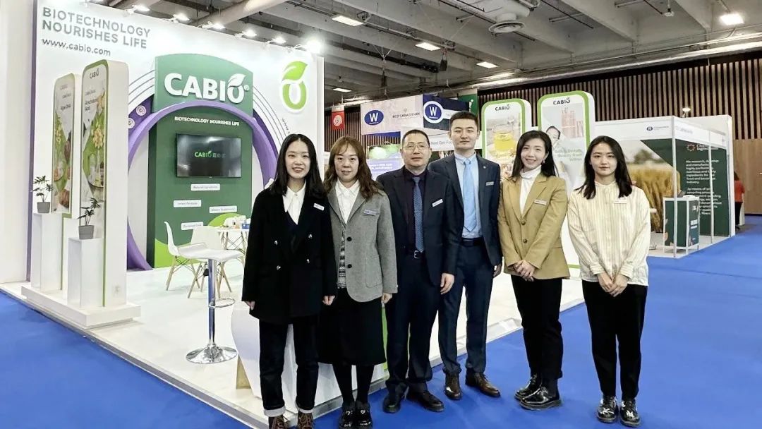 CABIO Team at FiE