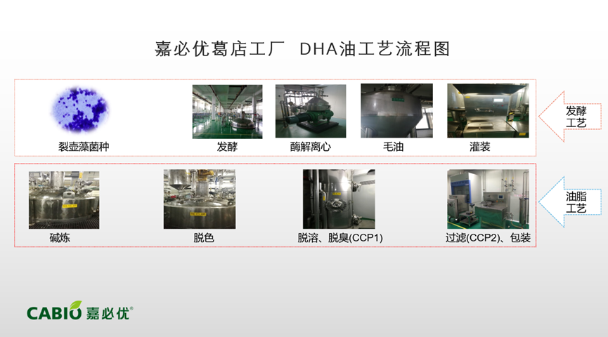 香港马经精准十二码